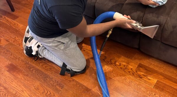Upholstery Cleaning