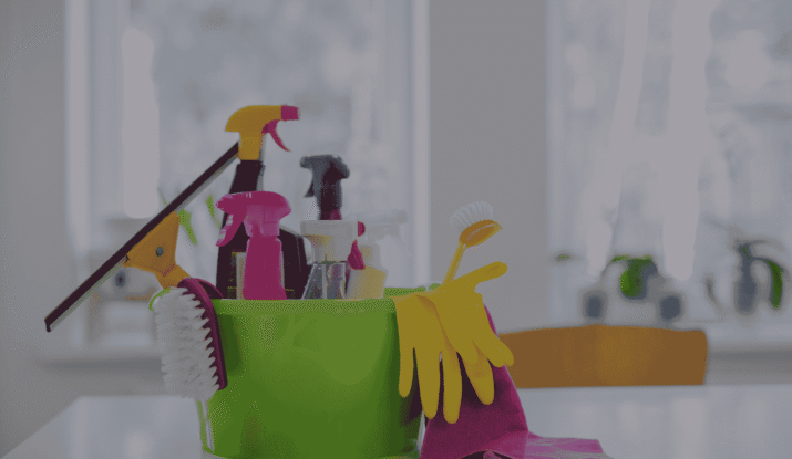 House Cleaning Services