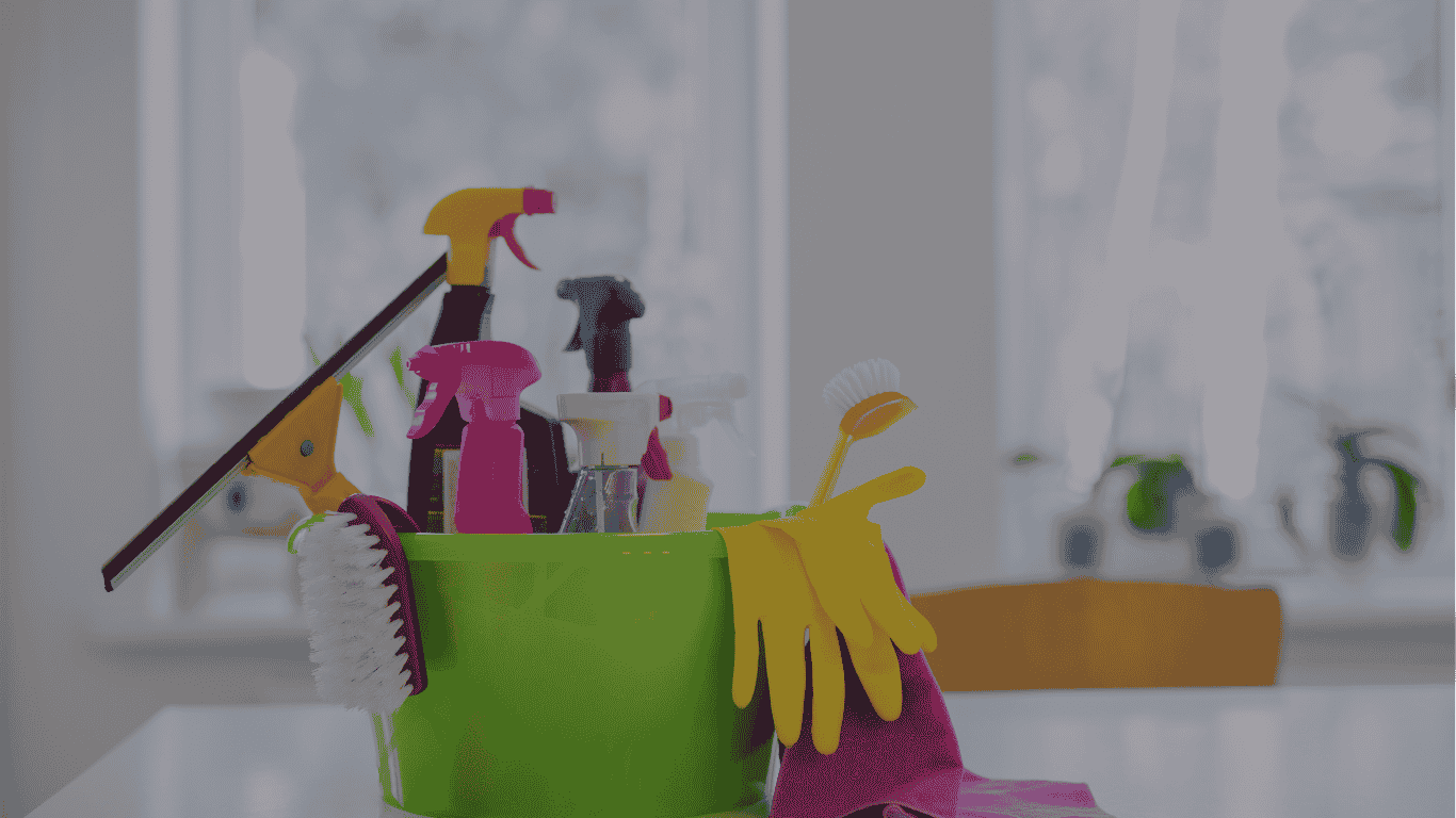 House Cleaning Services