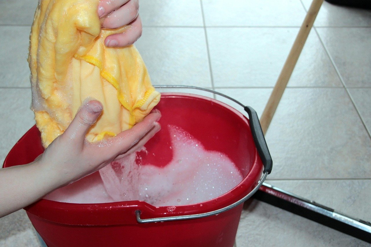 Professional cleaning services in Coquitlam BC