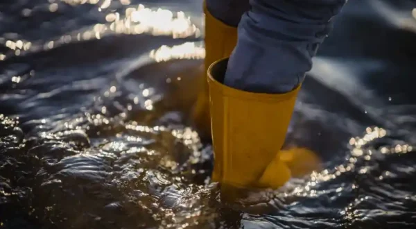Disaster Recovery Cleaning Services