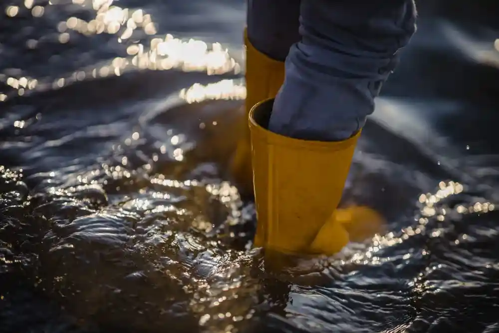 Disaster Recovery Cleaning Services
