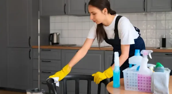 Regular Cleaning Sevices